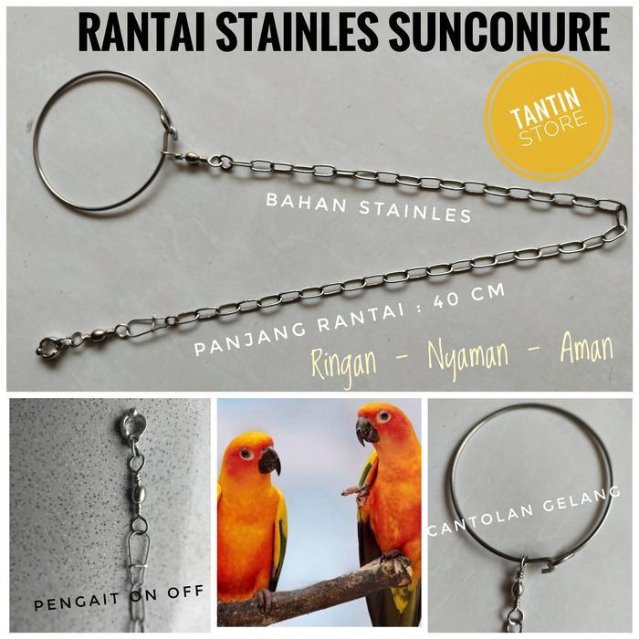 Rantai Stainles Sunconure
