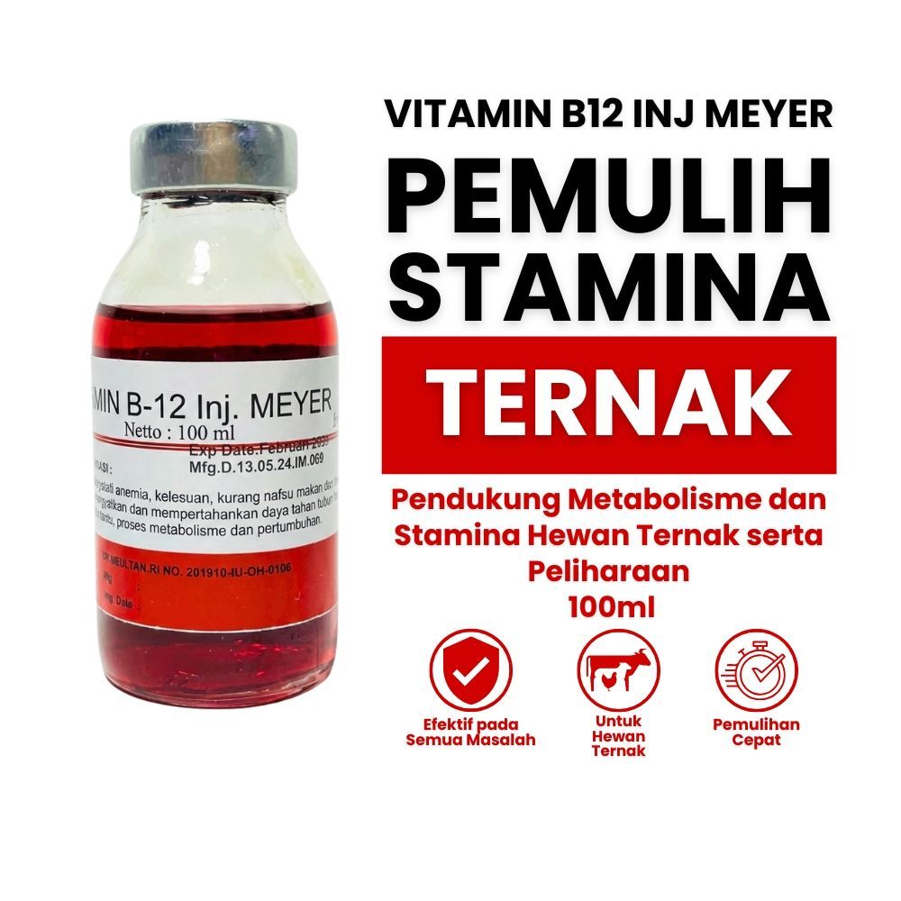 Vitamin B.12 Inj Meyer 100 ml - B-12 Injeksi - Meningkatkan Daya Tahan Tubuh Hewan - B.12 untuk Tern