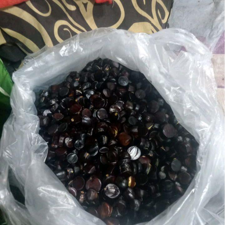 lalapan kabau Jolang jaling 250 Gram fres