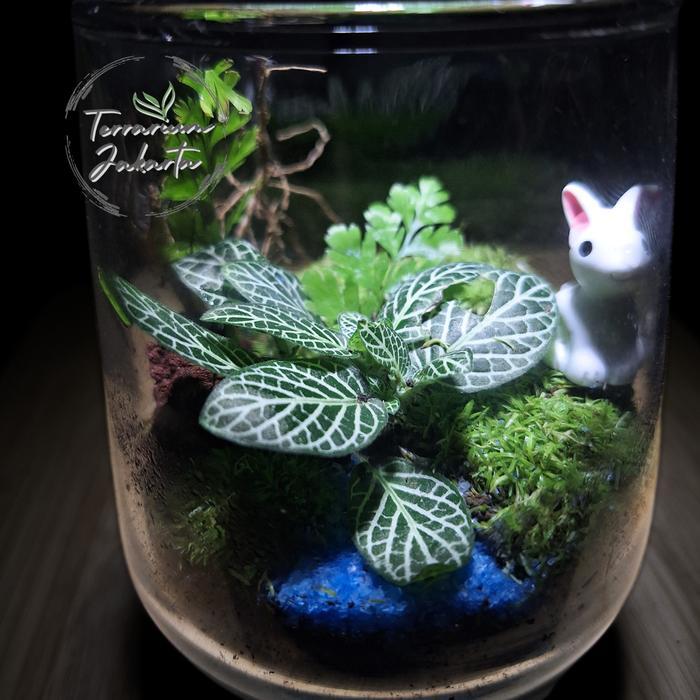 Closed Terrarium - Mini Glass Forest | Terrarium Tertutup | Terrarium Gift - KIT - TYpe 1, Bentuk KI