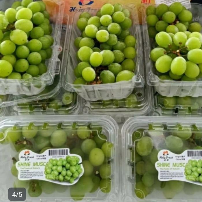 Anggur hijau muscat
