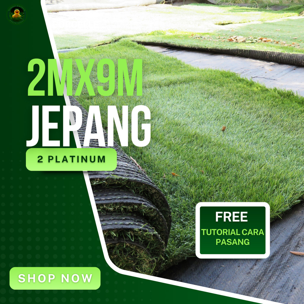 RUMPUT SINTETIS 2 CM PLATINUM DAN EKSLUSIVE LEBAR 2 METER X 9 METER PANJANG