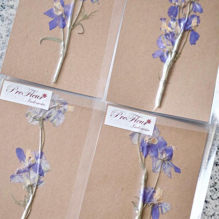Mix Dried Flower | Pressed Flower | Preserved Flower | Bunga Kering - B