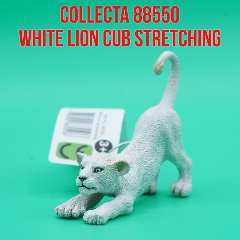 Collecta 88550 White Lion Cub Stretching Anak Singa Putih Panthera Leo Krugeri | Mainan Figure Binat