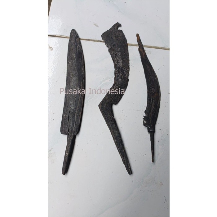 PUSAKA BETOK KUDI TOMBUK SEPUH BERPAMOR BORONG 180 Dijamin Paling Murah Seindonesia PI766