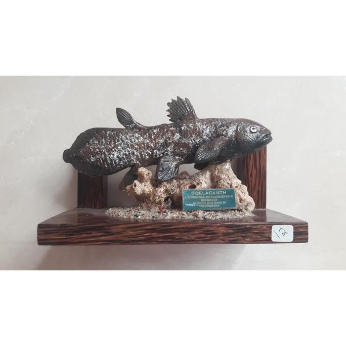 ASLI PATUNG KERAMIK RARE  IKAN PURBA COELACANTH No 12