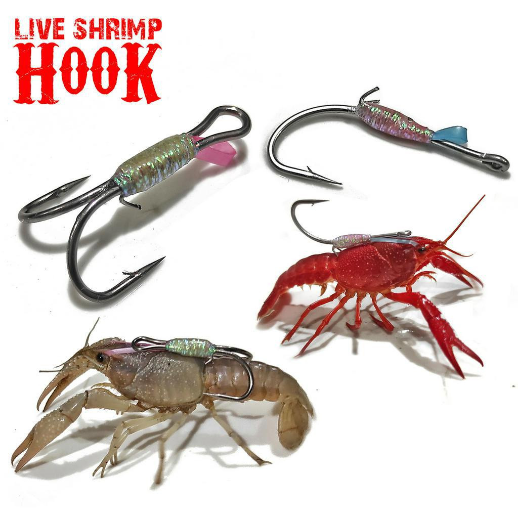 Mata Kail Pancing Untuk Umpan Udang Hidup Untuk Memancing Ikan di Laut Danau Sungai