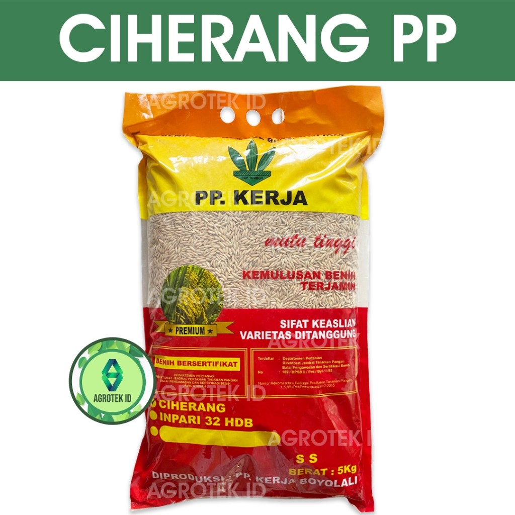 Benih Padi Ciherang PP Kerja - 5Kg