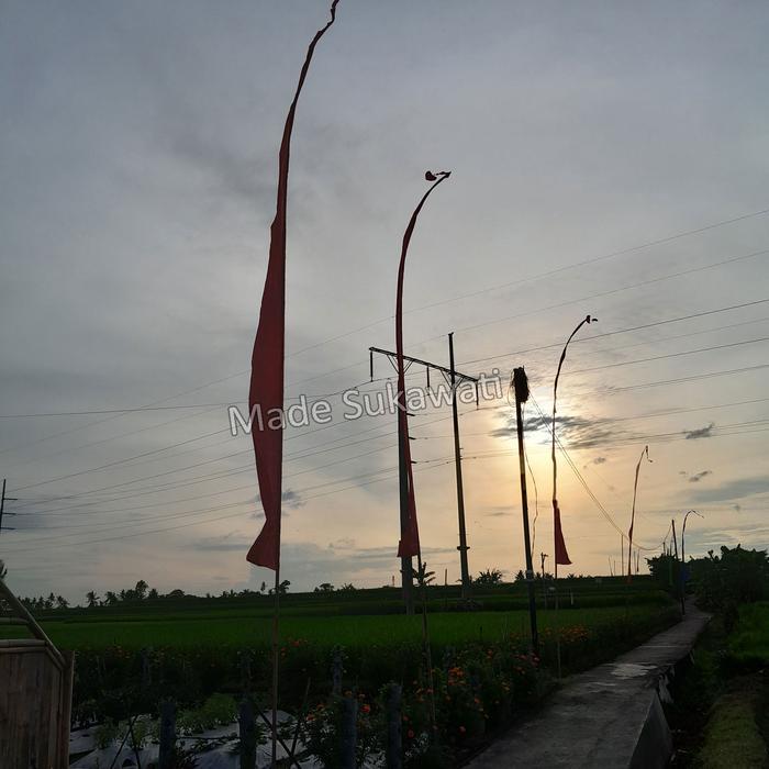 Umbul-Umbul khas Bali 5 Meter - Putih