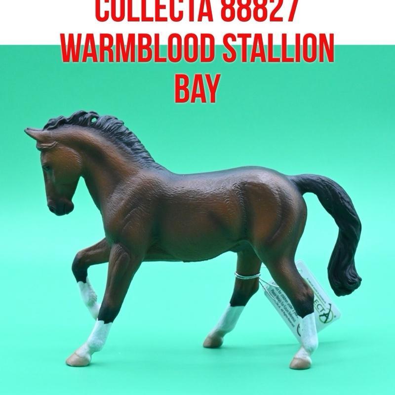 CollectA 88827 Warmblood Stallion Bay Horse Kuda Jantan Equus Caballus | Mainan Binatang Miniature H