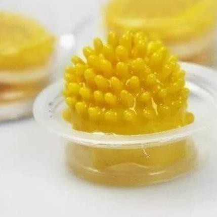 PROMO MURAH D E L T A B ET Produk Original kdm Alien Gerigi   asyilamrt PRIVASI AMAN&TERJAGA*DA