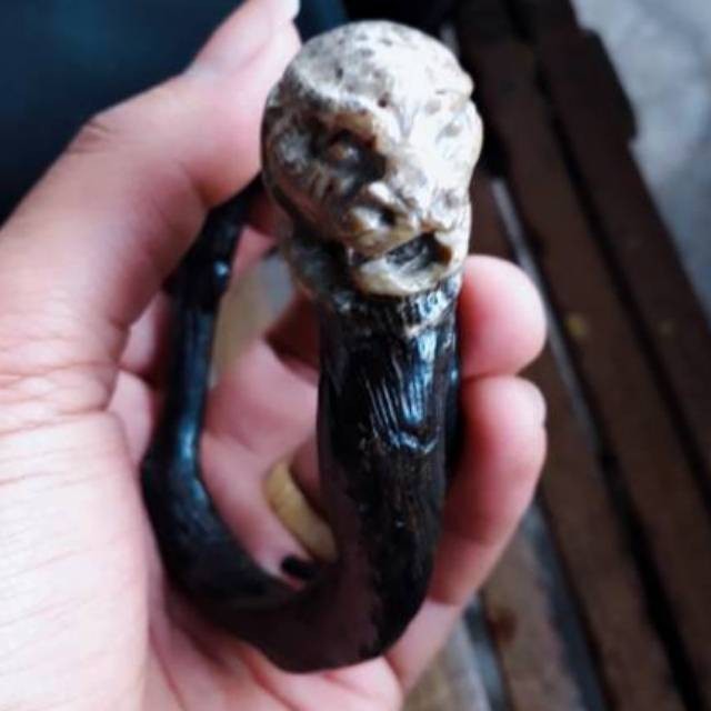 GELANG AKAR BAHAR HITAM ASLI BONGGOL UKIR MANUSIA ULAR