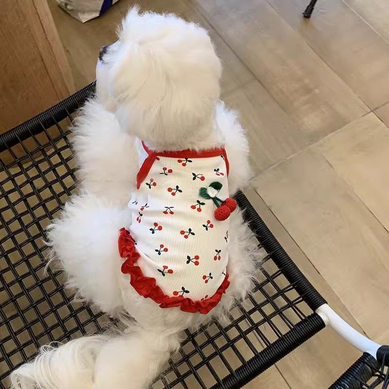 [COD] Rompi Anti-Rontok Pakaian Kucing, Model Tipis, Rompi Kucing/Anjing American Shorthair, Lucu