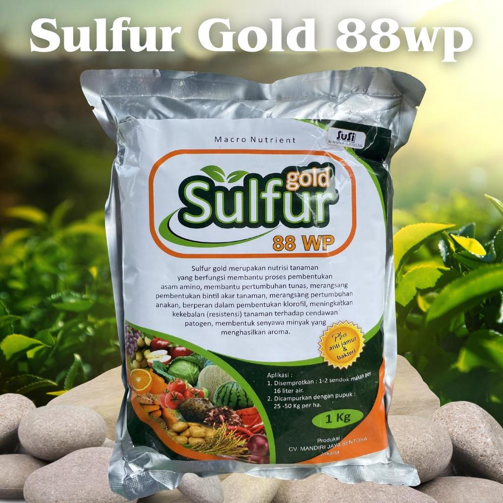 sulfur gold 88wp 1kg fungisida bahan aktif belerang sulfur pertanian TOKOSED14