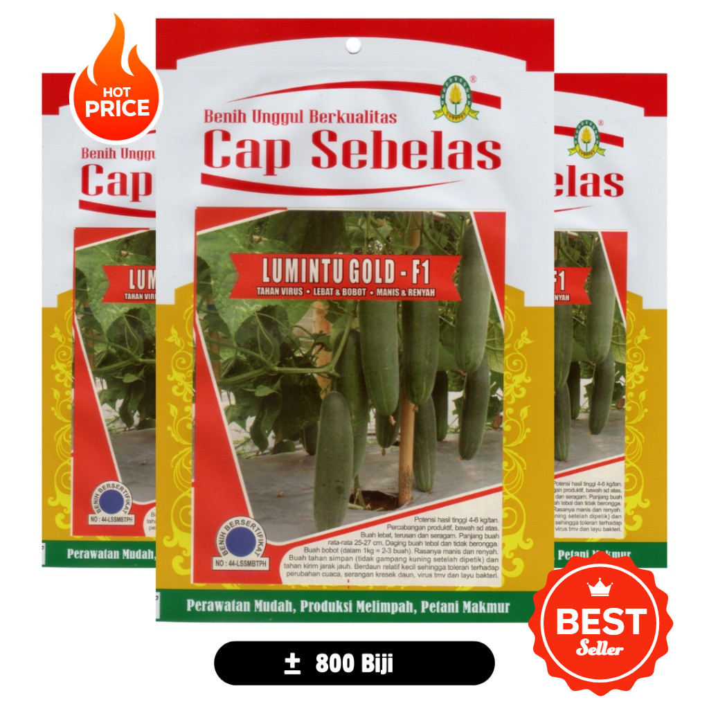 Benih Timun Lumintu Gold F1 Cap Sebelas
