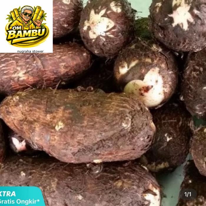 Umbi talas ketan kecil kecil pulen hasil bumi muria