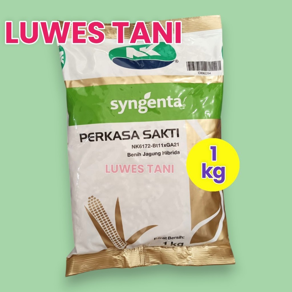 Benih Jagung Hibrida Bioteknologi NK Perkasa Sakti (NK6172-Bt11GA21)