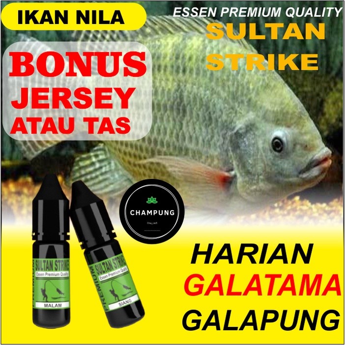 ESSEN IKAN NILA SULTAN STRIKE PAKET SIANG MALAM UMPAN PANCING LOMBA MEMANCING GALATAMA DAN GALAPUNG