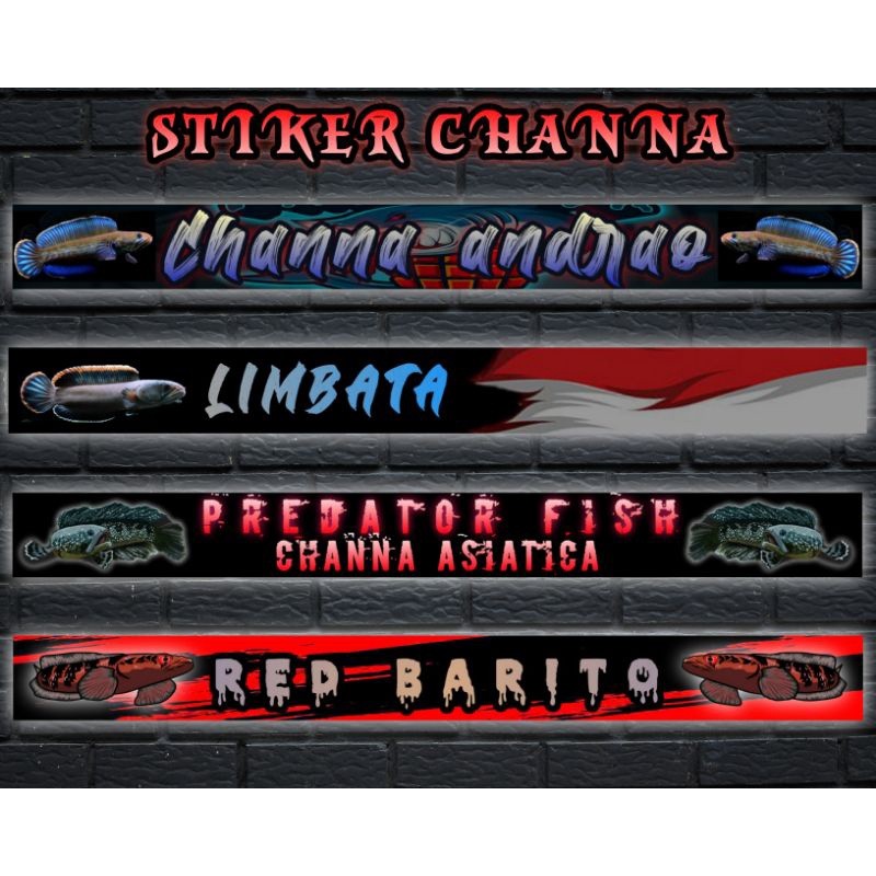 Stiker Lis Aquarium List Depan Channa Predator