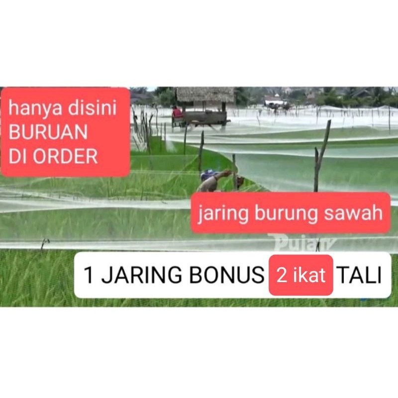 FLASH SALE JARING BURUNG JARING PADI JARING EMPRIT JARING SAWAH 7,5 x 90 METER JEBAKAN PERANGKAP BUR