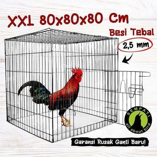 Afanzini Store SEMPATI Sangkar Kandang Besi Kotak Kurungan Ayam Jago Laga Aduan Petarung Kurungan Ay