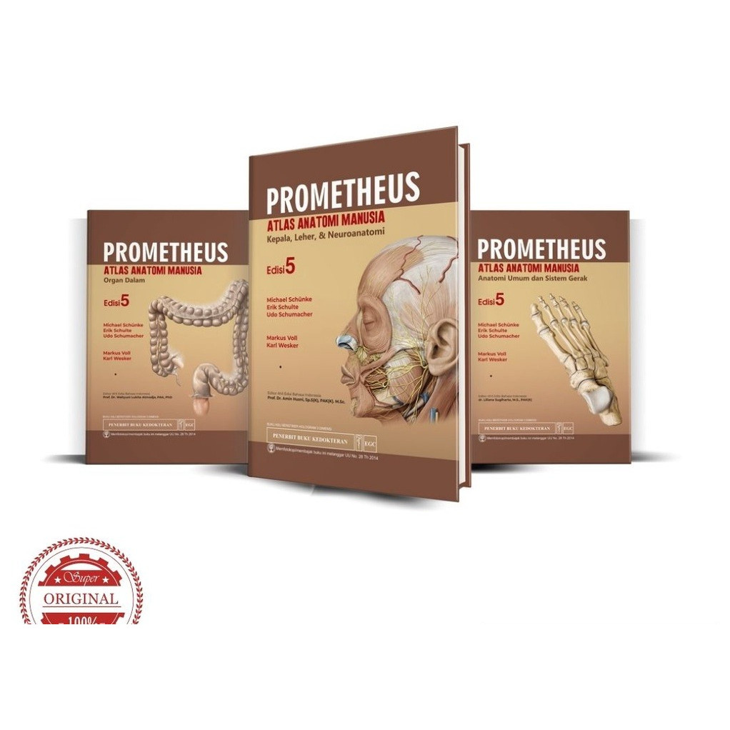 Prometheus Atlas Anatomi Manusia : Kepala, Leher & Neuroanatomi Edisi 5 - Michael Schunke, E. Sculte