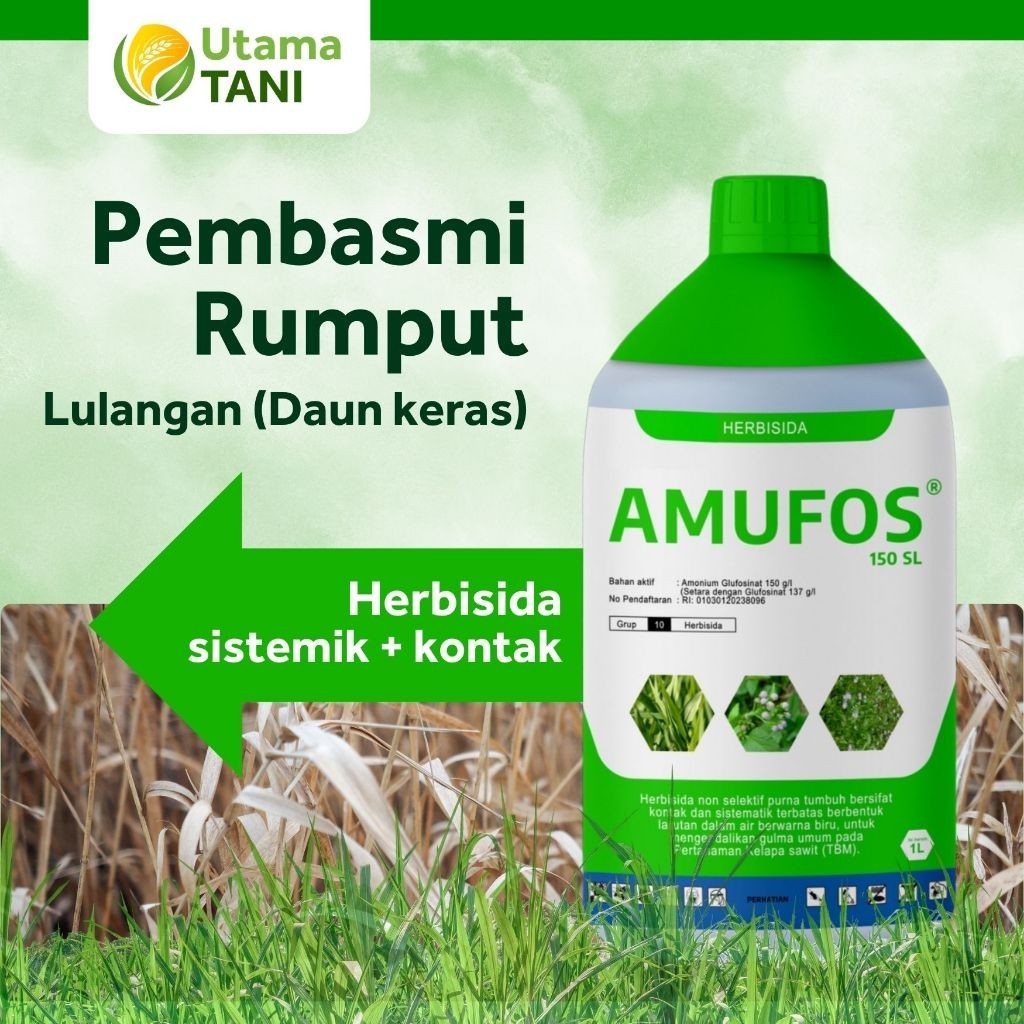 Amufos 1 Liter Obat Rumput Liar Lulangan / Herbisida Rumput Berdaun Keras Cepat