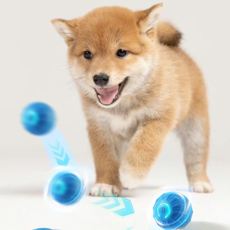 Automatic Elastic Jumping Dog Walking Ball Dog Fun Artifact Grinng Teeth Self-exciting Pet Toys Dog 