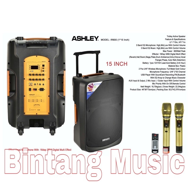 Speaker Portable Ashley IR600 Original 15 inch Ashley IR 600 Portable