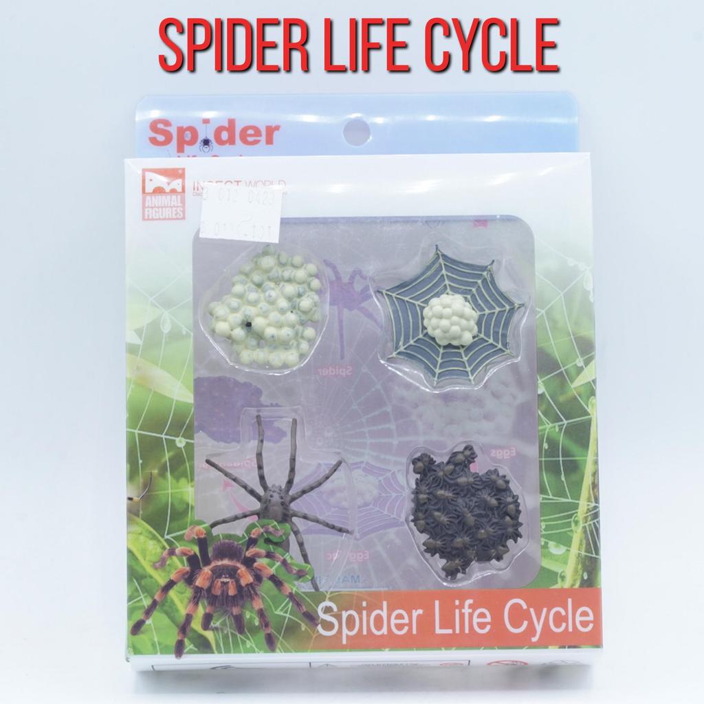 KORI Spider Insects Life Growth Cycle Siklus Hidup Laba Laba Araneae Serangga Figure Binatang Miniat