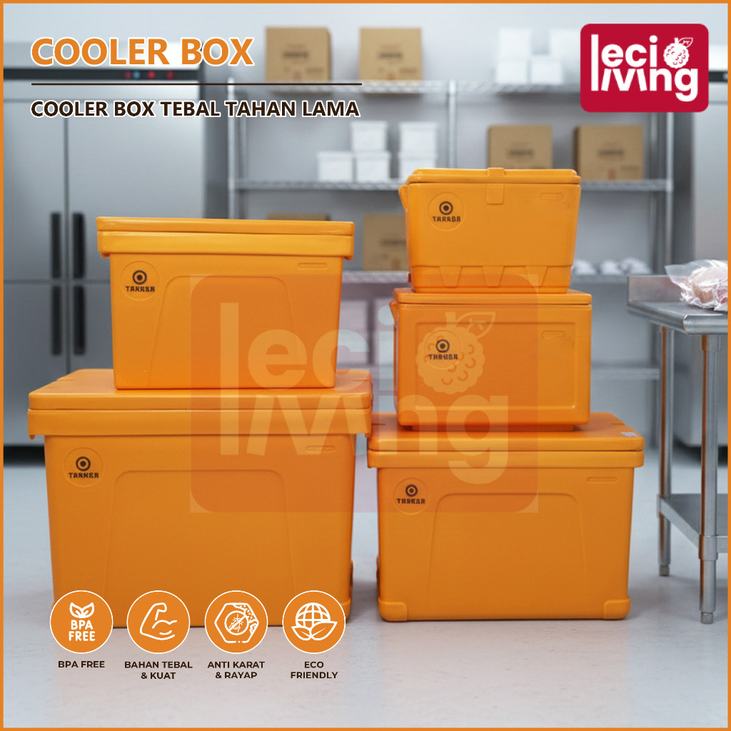 COOLER BOX - Container Box / Termos Es Kotak / Ice Box / Tempat Es Batu / Daging / Ikan