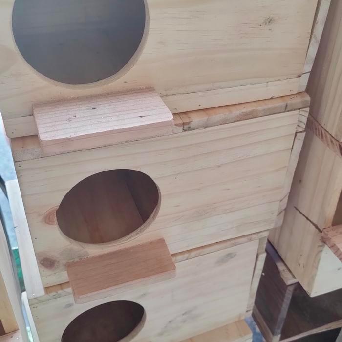 glodok falk australia buat ternak