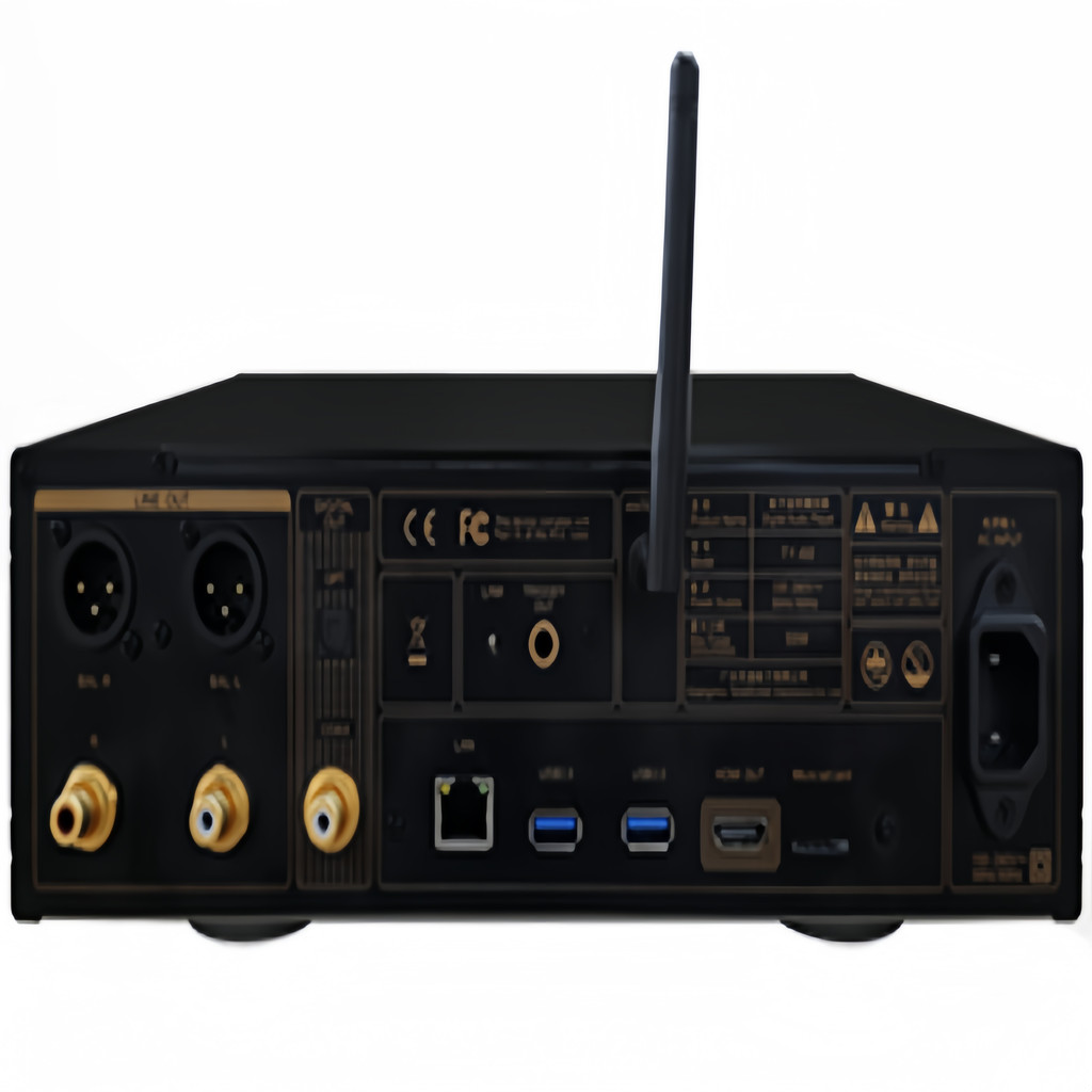 TYi60 DSD gital Player DSD512&MQA Decode & HiFi NAS Network Streaming Music Player New Arrival Home 