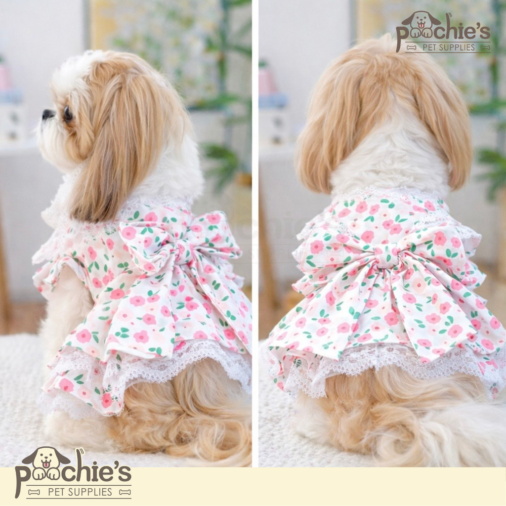 [Poochies Supplies] Baju anjing kucing - Rosy Garden Lace Dress