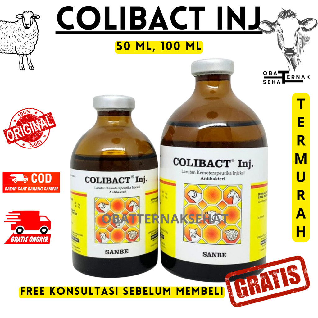 COLIBACT INJ. 50 ML DAN 100 ML - Obat Diare dan Pernafasan Sapi Kambing Domba Ayam