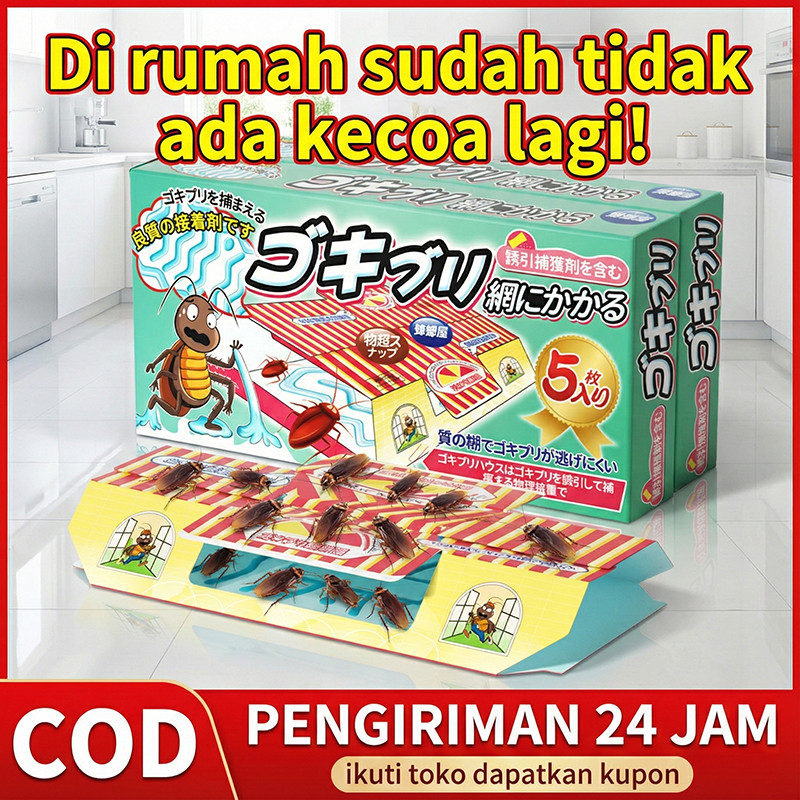 Rumah Perang kap Kecoa Perangkap Rumah Kecoa Jebakan Lem  Kecoa Cicak Rumah Kecoak Jebakan Perangkap