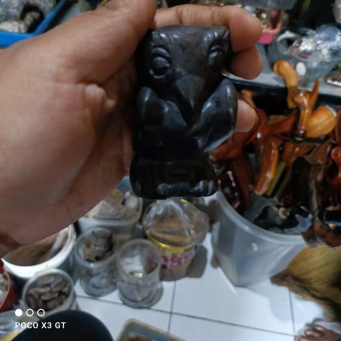 top PUSAKA BERTUAH BURUNG HANTU DARI JAMAN MEGA LITIKUM KJM1122