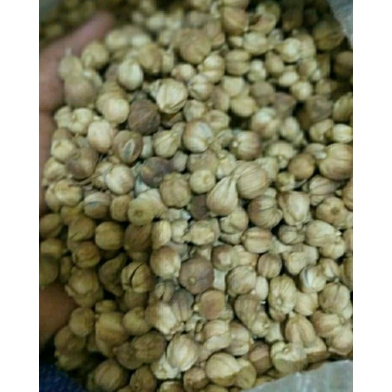 Kapulaga Jawa kering 1 kg