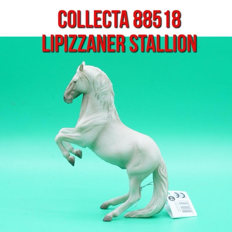 Collecta 88518 Lipizzaner Stallion Horse Kuda Jantan Lipizzan Equus Caballus | Mainan Figure Binatan