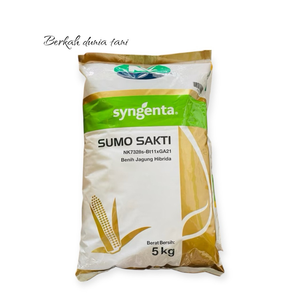 Benih Jagung Hibrida Nk Sumo Sakti - 5 Kg