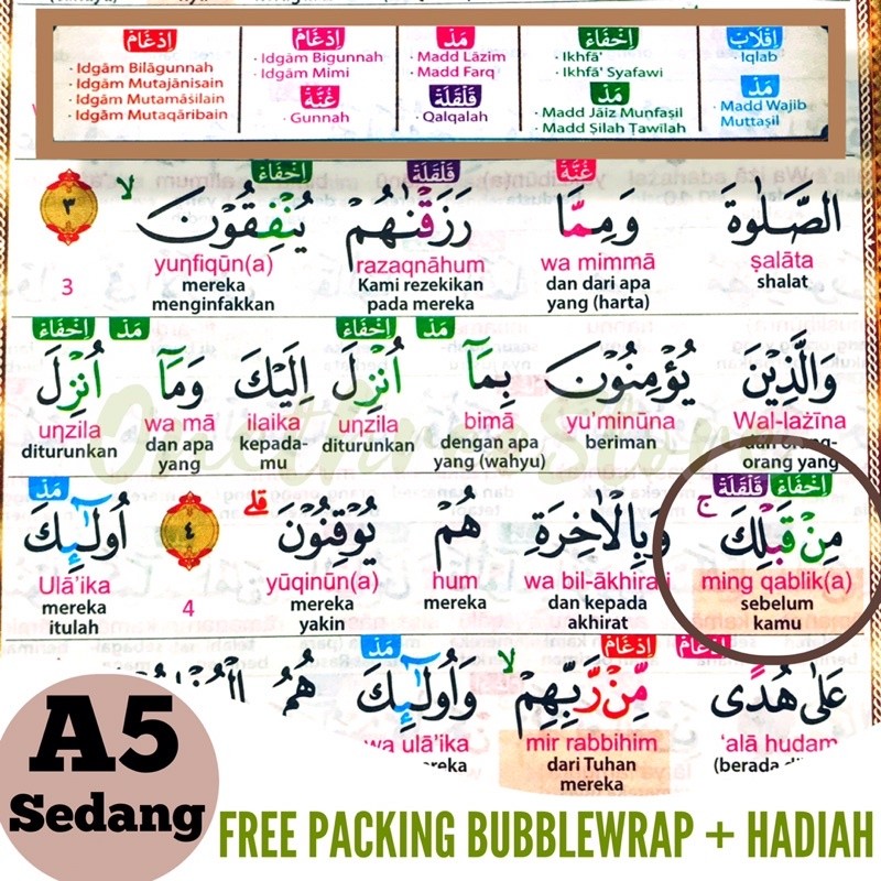 TERLARIS 30Juz Tajwid ARAB Pemula Belajar Super Mudah Al Quran Tajwid Warna al qur'an Buku Filsafat 