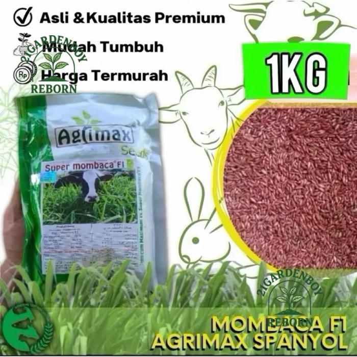 (BISA BAYAR DITEMPAT) Benih super Mombaca F1 1kg biji agrimax spanyol 
