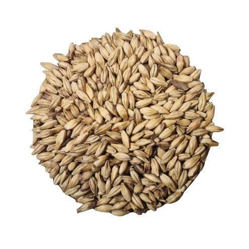 Aim castle malting Cara B (Belga) crystal ebc 30 malt grain