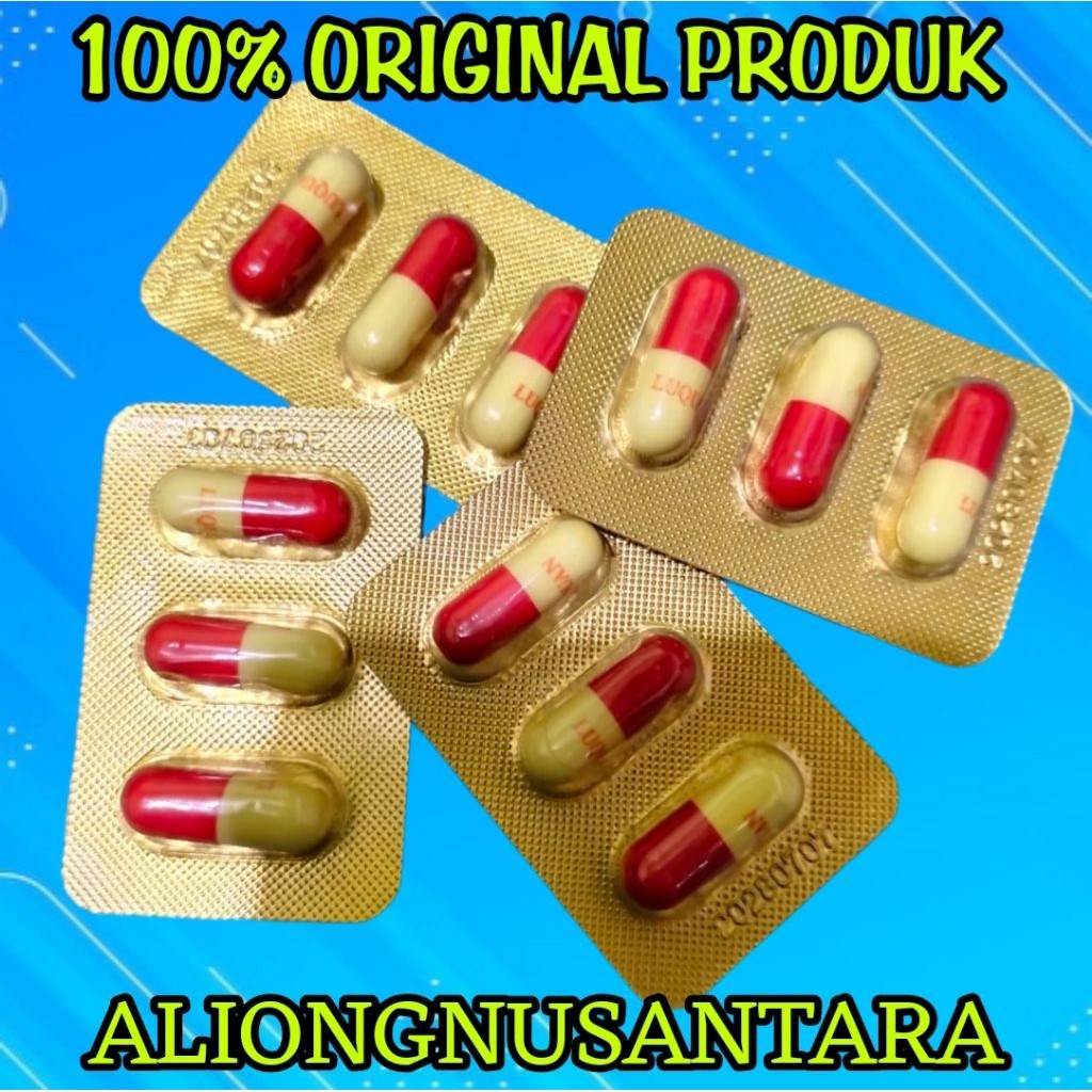 NANGEN ZENGZHANGSU ORIGINAL ASLI IMPORT ISI 12 KAPSUL