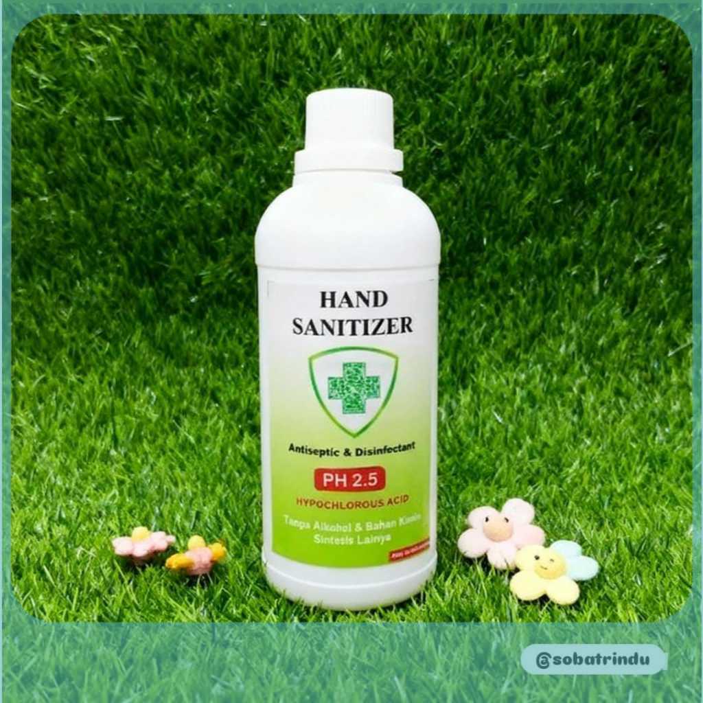 HAND SANITIZER 550ml Aseptic HYPOCHLOROUS ACID 550ml PH 2.5 - Strong Kangen Acid Water