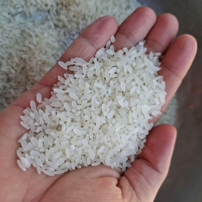 Bareh 42 Ampek Duo Beras Solok BAREH SOLOK 1 Kg Bareh 42 lamak rasonyo .