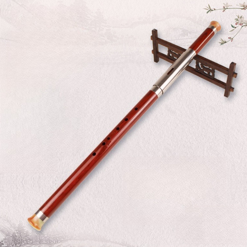 Resin Bawu Professional Trational Transverse Bawu Adult Beginners Performance Flute Detachable Porta