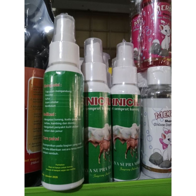 PINISILIN SPRAY