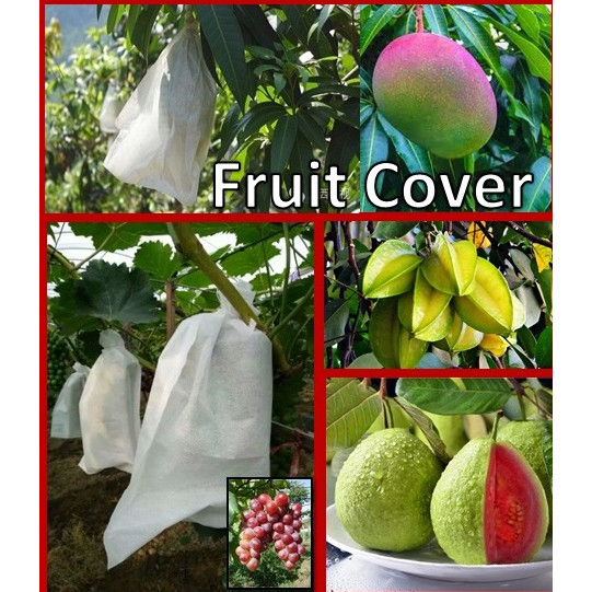 (ISI 10 PCS) Fruit Cover Brongsong Buah, Pembungkus Buah XL,XXL,XXXL Untuk Buah Melon Pisang Semangk