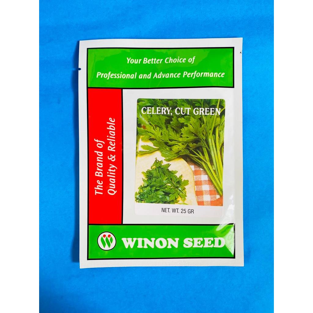 Benih seledri CELERY CUT GREEN isi 25gr tahan hama dan penyakit dari WINON SEED
